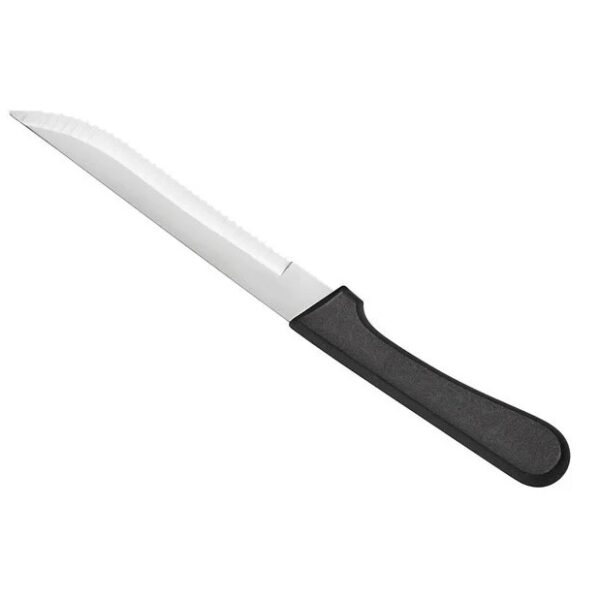 Steak Knife - Poly Handle
