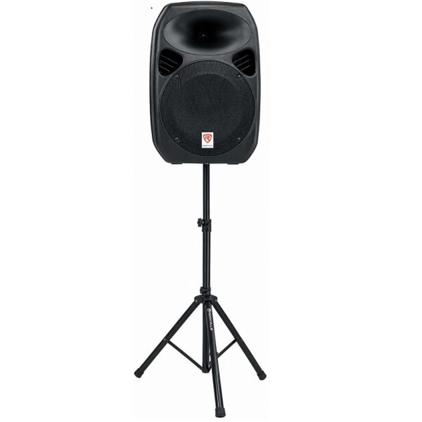 10" Speakers with Stands