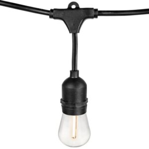 String Lights 100ft Clear Bulbs